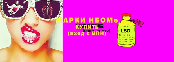 PSILOCYBIN Алзамай