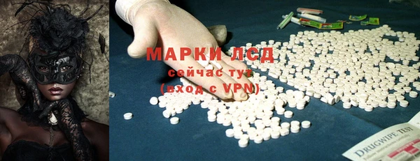 PSILOCYBIN Алзамай
