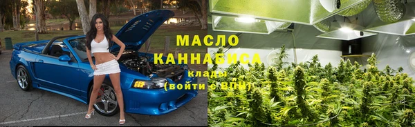 индика Карпинск