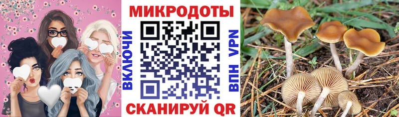 Галлюциногенные грибы MAGIC MUSHROOMS  цена   Починок 